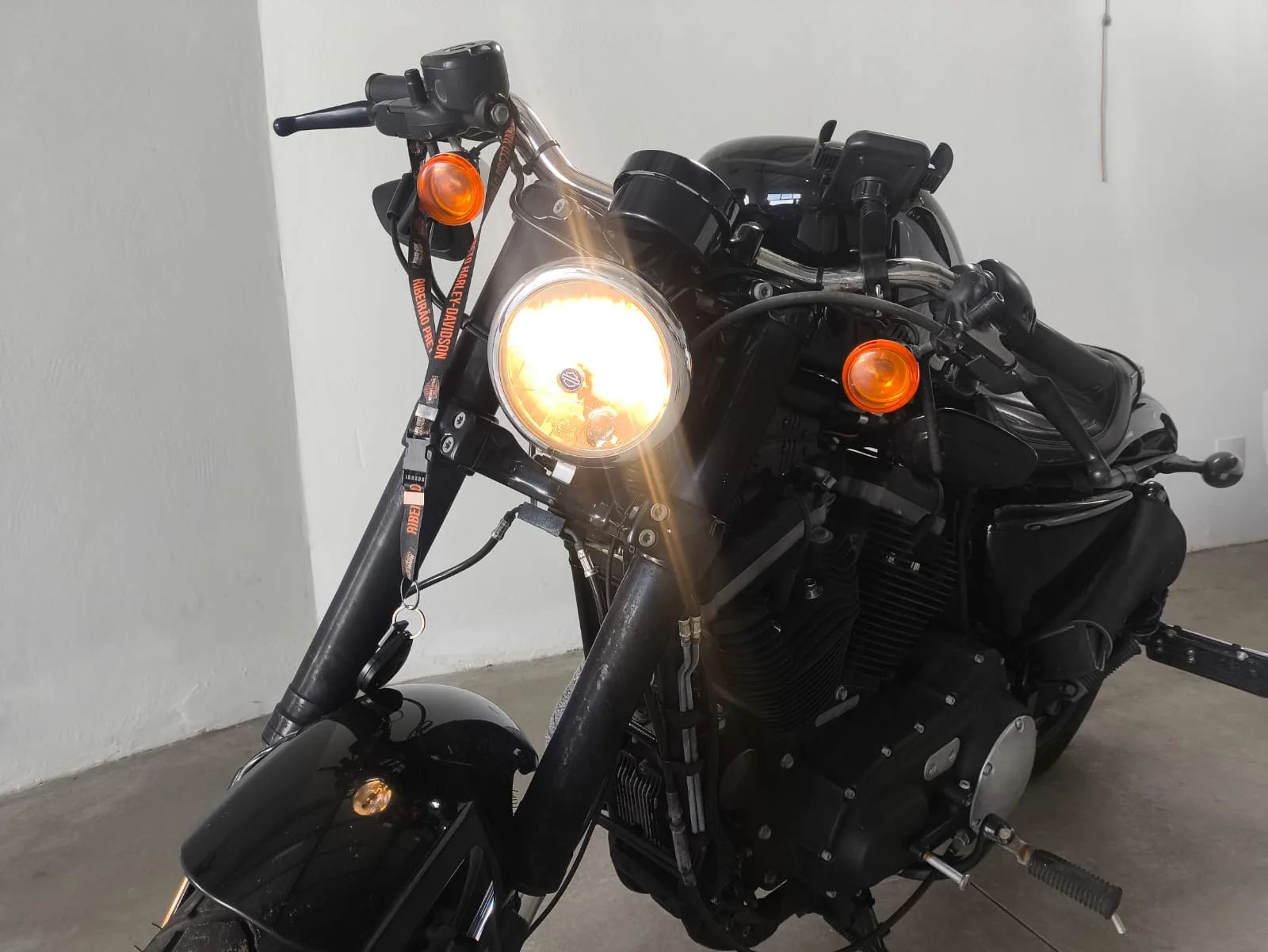 Harley Davidson Sportster Roadster 1.200cc