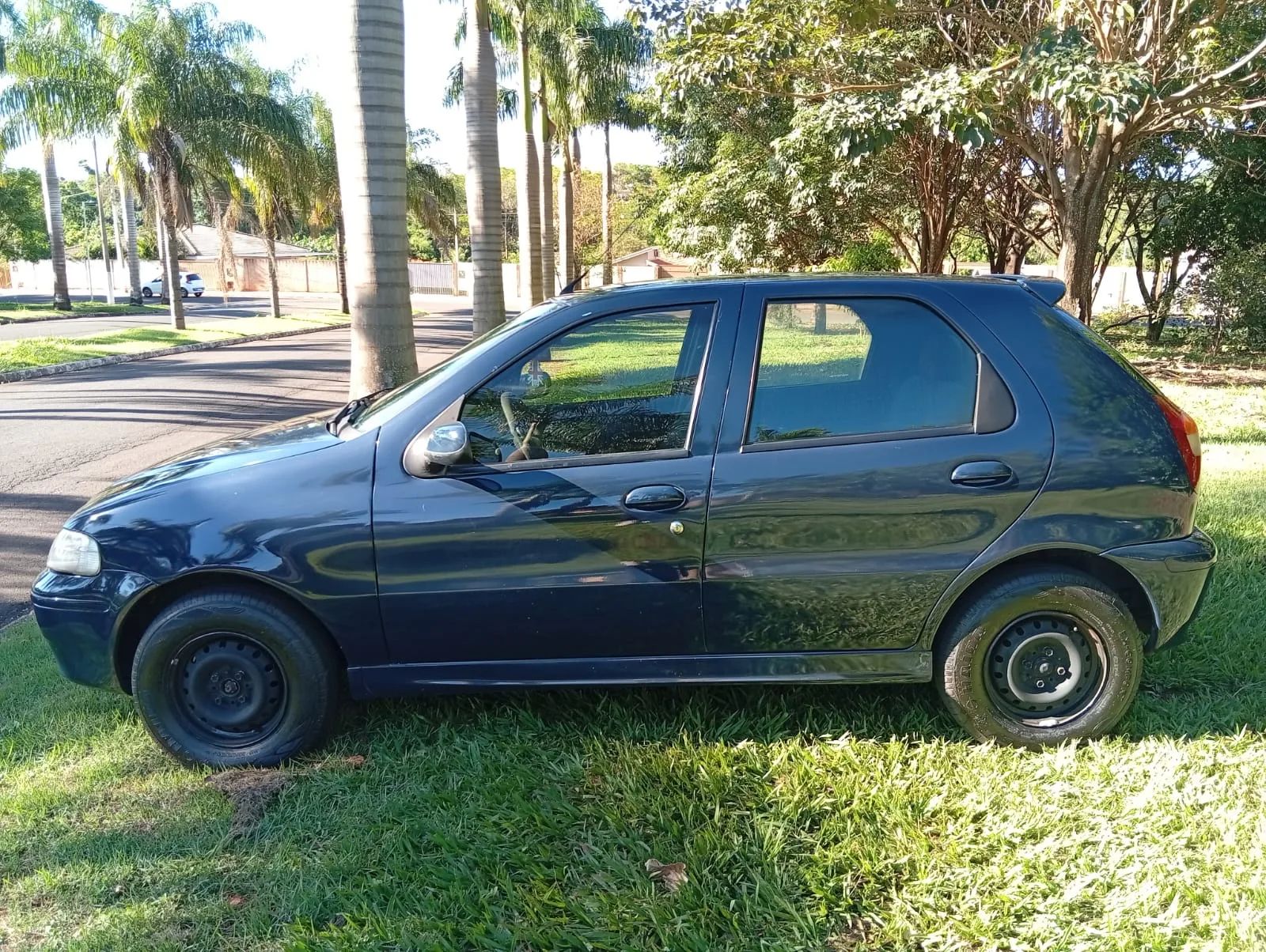 Fiat Palio Fire (Abaixo da fipe)